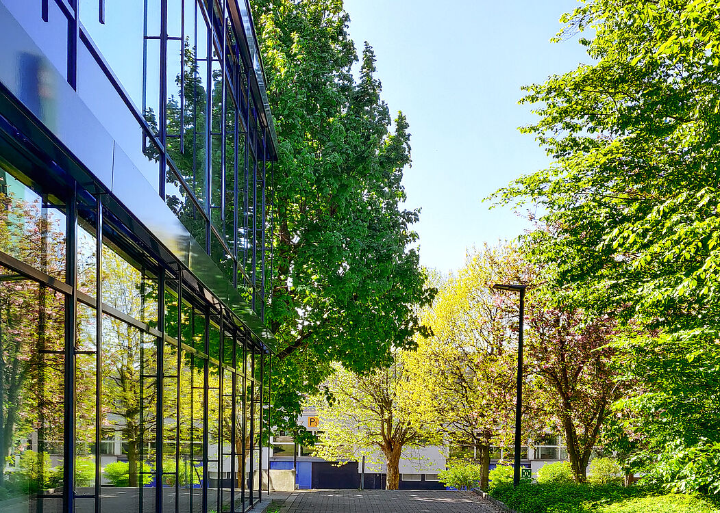 Das Foto zeigt ein Gebäude neben blühenden Bäumen