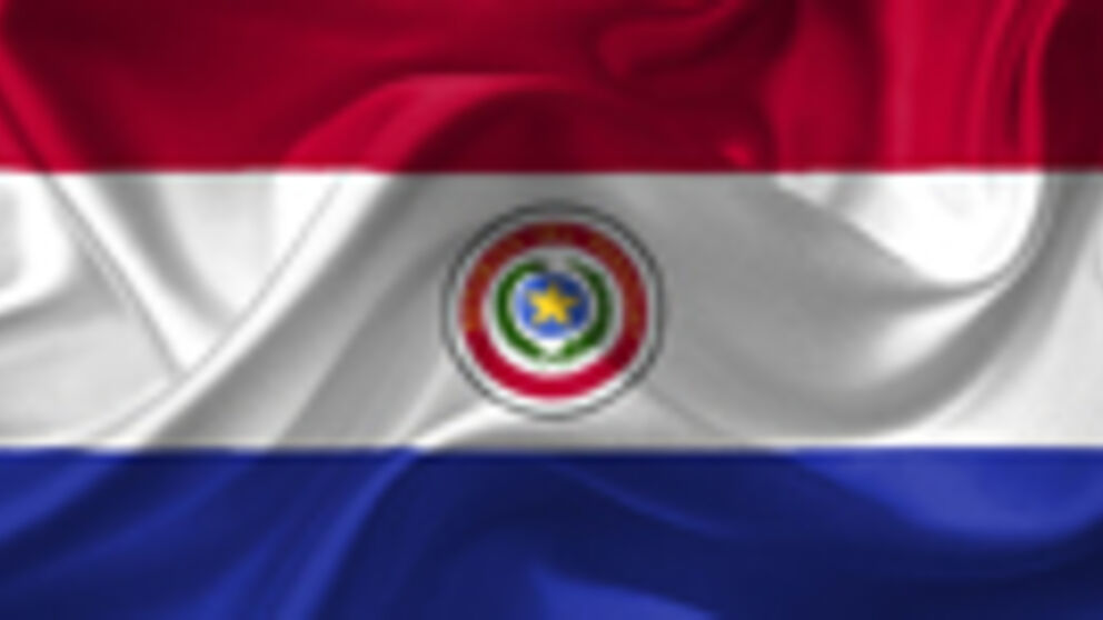 Das Bild zeigt die Flagge von Paraguay